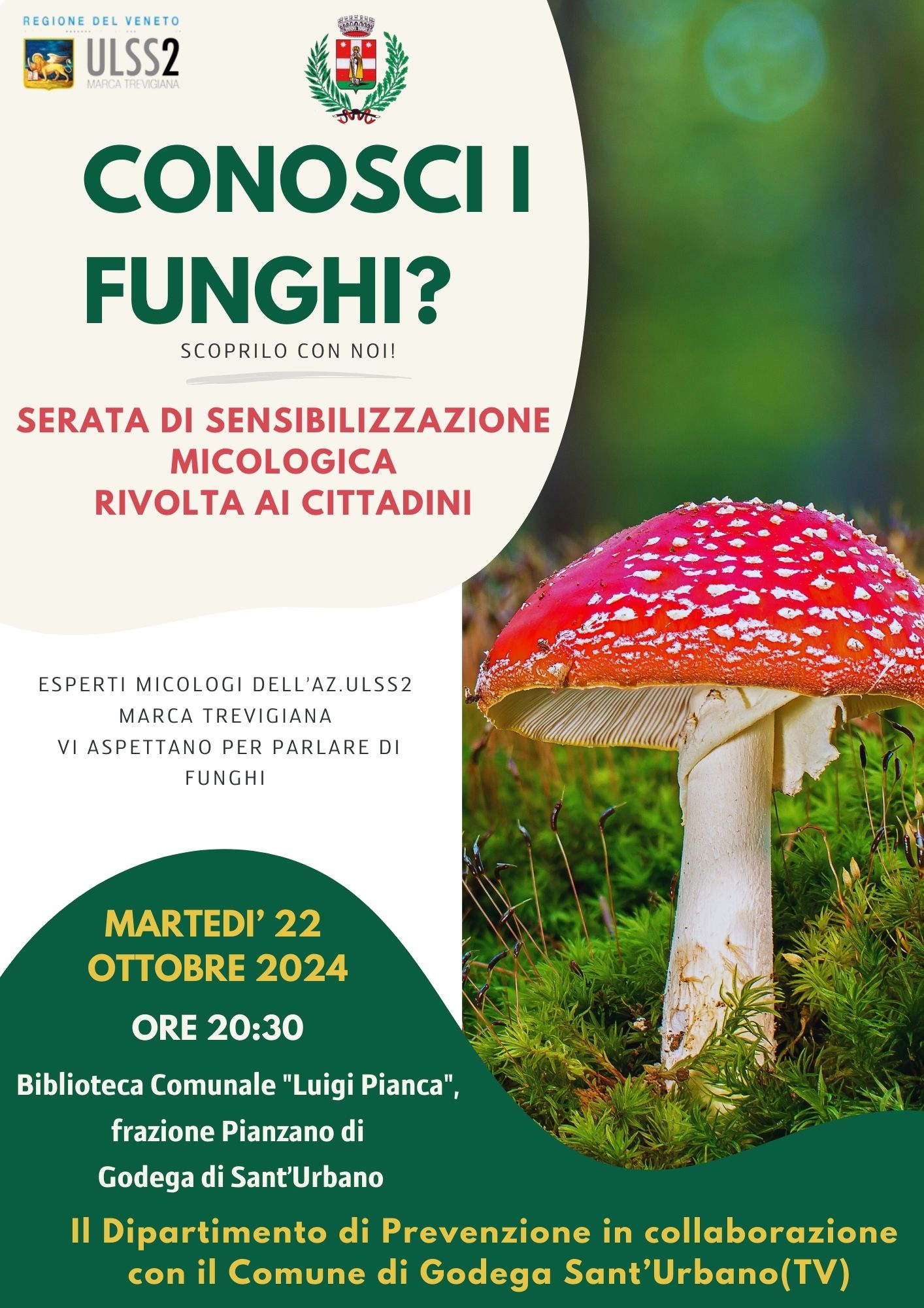 Serata di Sensibilizzazione Micologica - Conosci i Funghi?