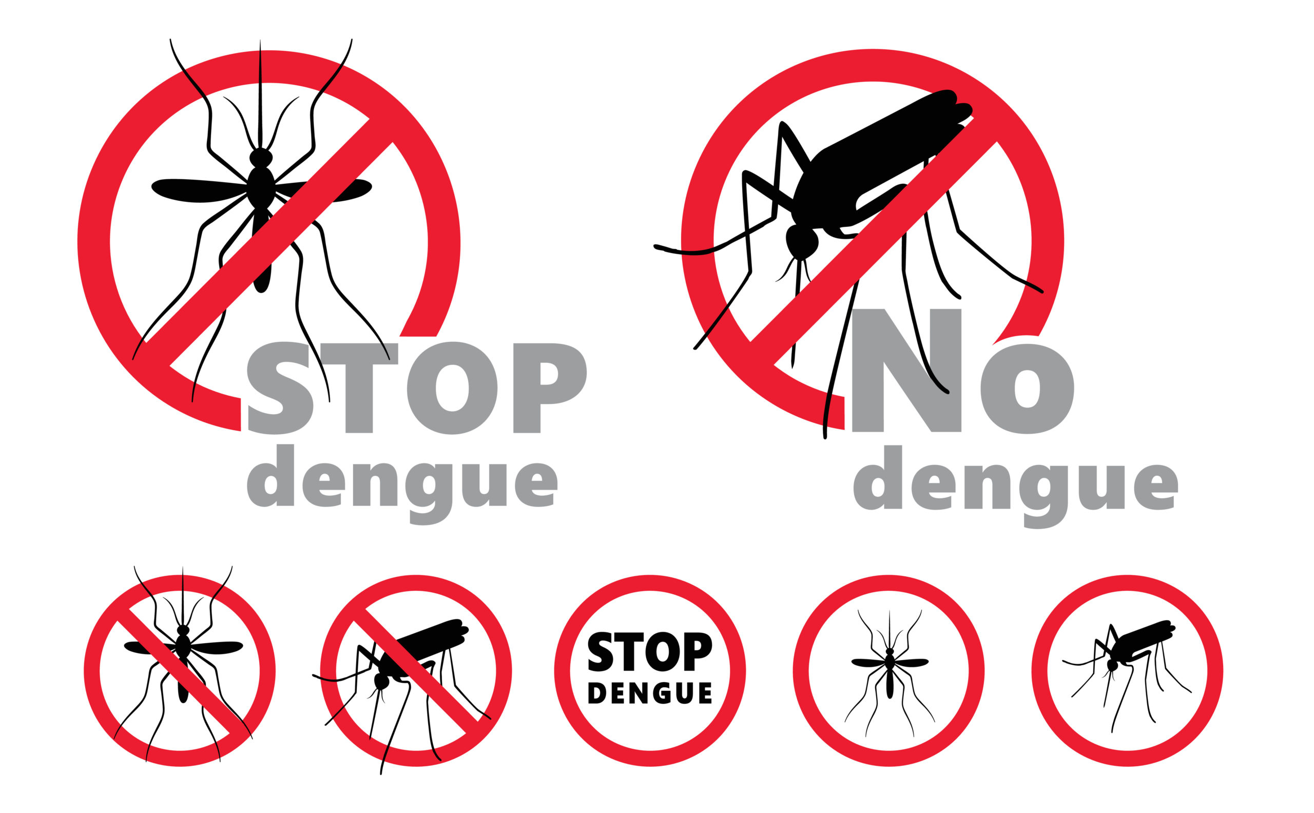 Campagna comunicazione Dengue 2024